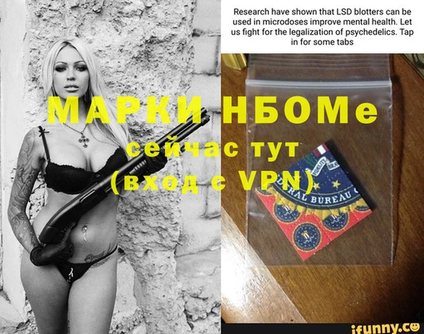 гашик Балахна