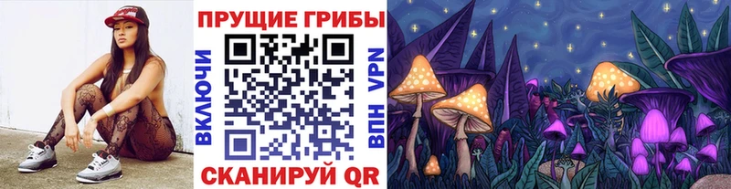 Купить закладки  Малаховка  Псилоцибиновые грибы мухоморы 